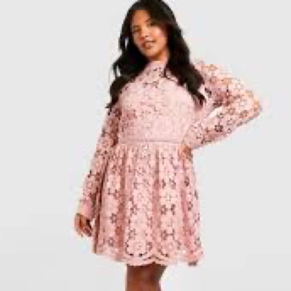 NWT Boohoo Pink Plus Premium Guipure Lace Skater Dress Size 16 - Picture 3 of 4